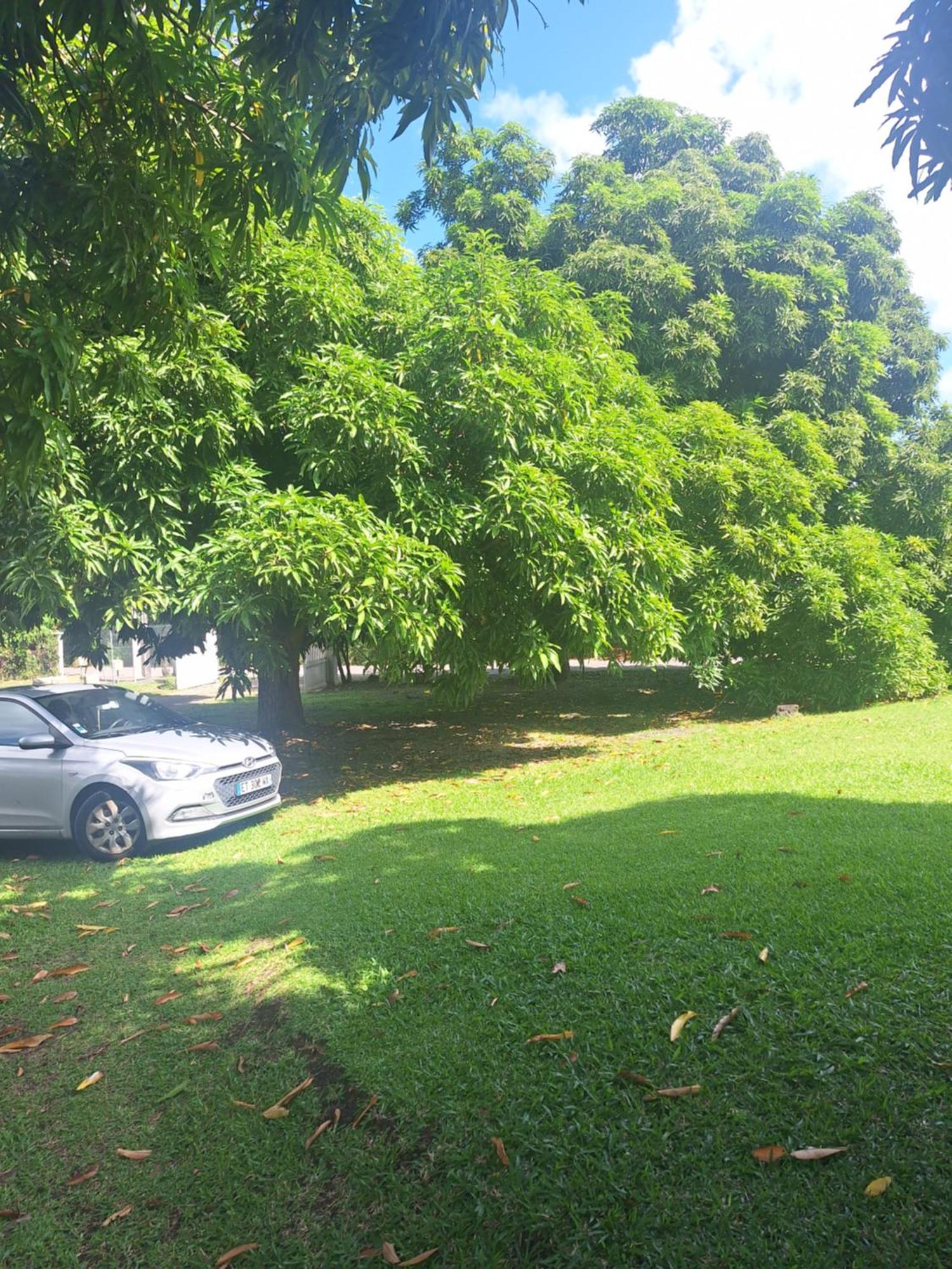 Villa Kikine เลอ ดีอามงต์ ภายนอก รูปภาพ